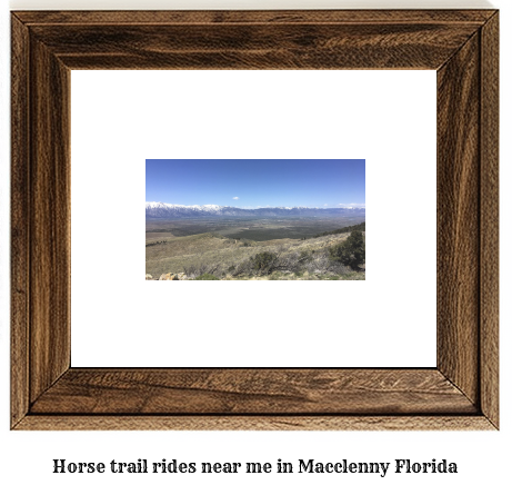 horse trail rides near me in Macclenny, Florida